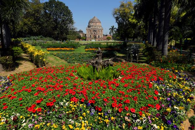 Flowers blooming in Lodhi Garden, in New Delhi . (Amal KS/HT PHOTO) Flowers blooming in Lodhi Garden, in New Delhi . (Amal KS/HT PHOTO)