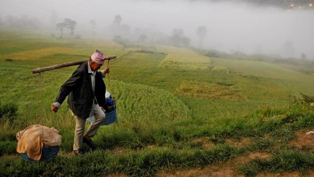 A man carries goods on his way to a temple during the Shikali festival at Khokana village in Lalitpur, Nepal. (Monika Deupala / REUTERS)