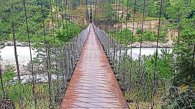 The mule suspension bridge over Lohit River.(Rahul Singh/HT Photo)