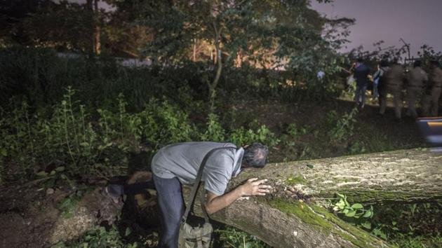 An activist embraces a felled tree after authorities went ahead with clearing land for a metro car shed at Aarey colony, in Mumbai, Maharashtra. (Satyabrata Tripathy / HT Photo)