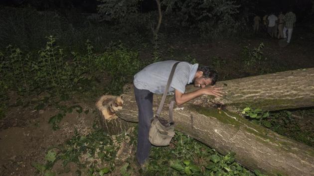 An activist cries as he embraces a tree trunk that was cut. On September 14, Maharashtra Chief Minister Devendra Fadnavis had said that the area does not come under forest land and the metro will help reduce the city’s carbon footprint. Celebrities like Amitabh Bachchan and Akshay Kumar also saw received flak for indirectly backing the decision to fell the trees. (Satyabrata Tripathy / HT Photo)
