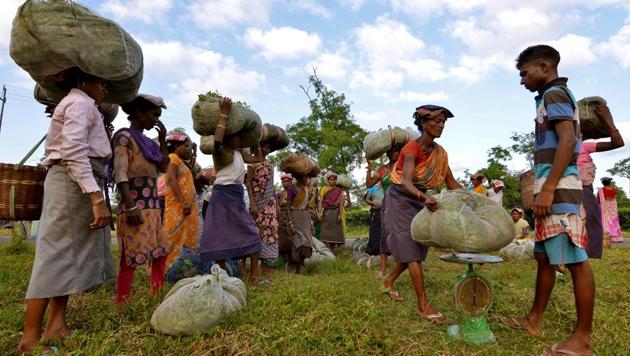 Tea garden workers gather to weigh tea leaves after plucking them at a tea estate in Assam’s Nagaon district,.(REUTERS FILE PHOTO) Tea garden workers gather to weigh tea leaves after plucking them at a tea estate in Assam’s Nagaon district,.(REUTERS FILE PHOTO)