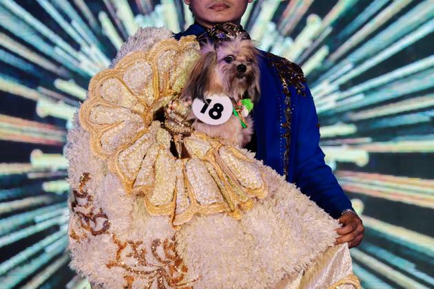 A pet owner carries his dog at a pet fashion show celebrating World Animals Day in Quezon City, Metro Manila, Philippines, October 6, 2019. (REUTERS/Eloisa Lopez)