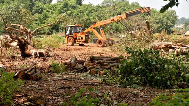 Workers remove chopped trees from Aarey forest after the Supreme Court restricted further felling of trees in the area, in Mumbai on Monday. (ANI Photo)