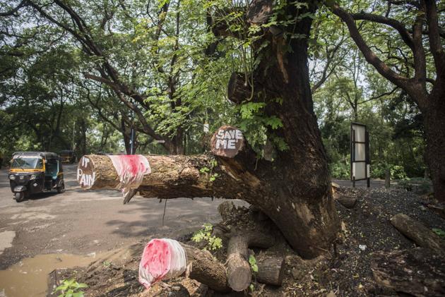 The Aarey forest lost 2,141 trees in the span of two nights and a day over the weekend. The site resembled a war zone. (HT file photo) The Aarey forest lost 2,141 trees in the span of two nights and a day over the weekend. The site resembled a war zone. (HT file photo)