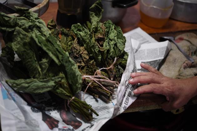 “I can’t keep up with the demand,” Lilia Reyes said at her stall, bathed in the aroma of camomile, one of the 150 plants she sells. Careless consumption of some herbs can be deadly, warns Grismery Morillo. A doctor at a Caracas public hospital, she says she has seen many cases of acute liver failure in people who have eaten certain roots. (Yuri CORTEZ / AFP)