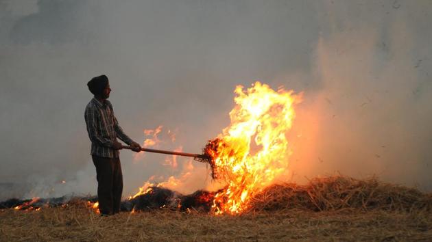 File photo of a farmer in Punjab burning paddy straw in his field.(HT File)