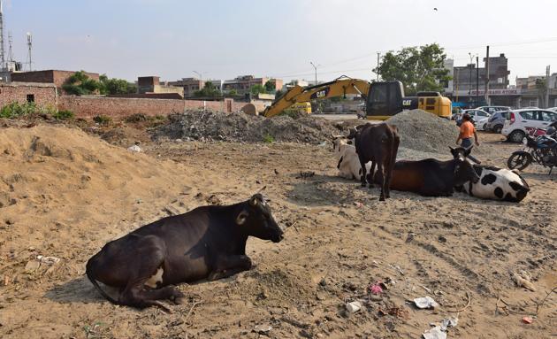 The site proposed for the vending zone at the Hambran road in Ludhiana.(HT PHOTO)