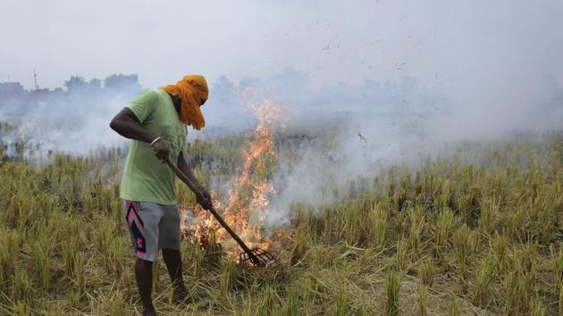 A farmer burns paddy stubble in a field, in a village on the outskirts of Amritsar, Thursday, Sept. 19, 2019. Stubble burning in the past has been considered as one of the major contributing factors for increasing air pollution and smoky haze around the adjoining states of Punjab and Haryana, especially New Delhi.(PTI)