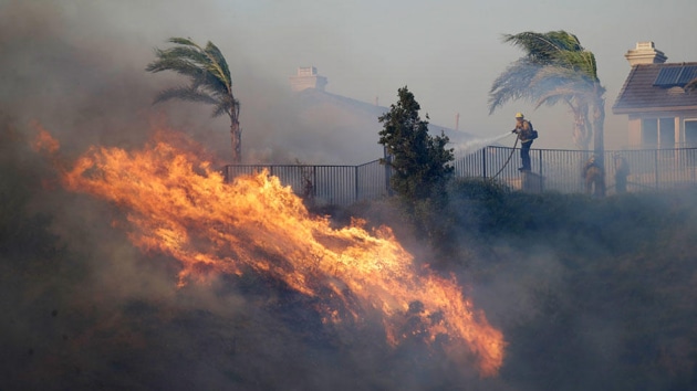 The region has been on high alert as notoriously powerful Santa Ana winds brought dry desert air to a desiccated landscape that only needed a spark to erupt.(AP image)