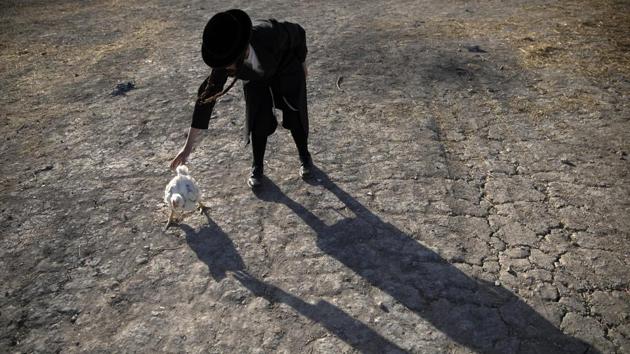 An ultra-orthodox Jewish man holds a chicken during the Kaparot ritual in Beit Shemesh, Israel. Observant jews believe the ritual transfers one's sins from the past year into the chicken, and is performed before the Day of Atonement, Yom Kippur, the holiest day in the Jewish year. (Oded Balilty / AP)