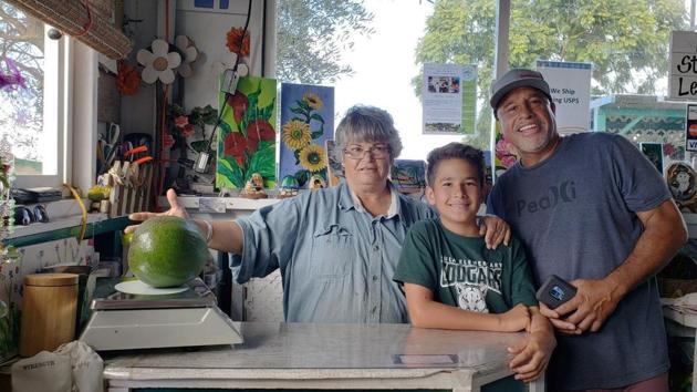 The image shows the first weigh of the avocado at Kula Country Farms.(AP)