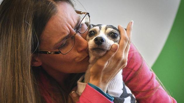 Katheryn Strang is reunited with her toy fox terrier, Dutchess, at Humane Animal Rescue.(AP)
