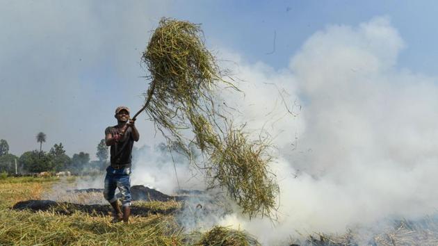 A farmers burns paddy stubbles in a field in a village in Ambala district. (PTI) A farmers burns paddy stubbles in a field in a village in Ambala district. (PTI)
