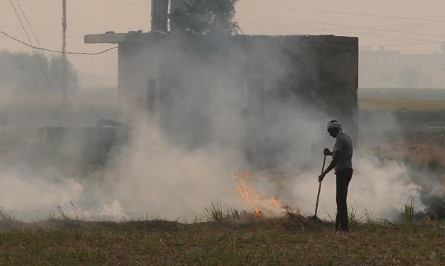 Farmer burning paddy straw at Devigarh village near Patiala on Sunday.(HT Photo)