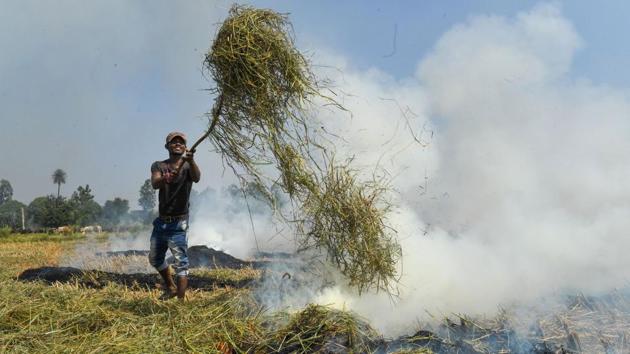 A farmer burns paddy stubbles in a field in a village at Ambala district in Haryana. (PTI)