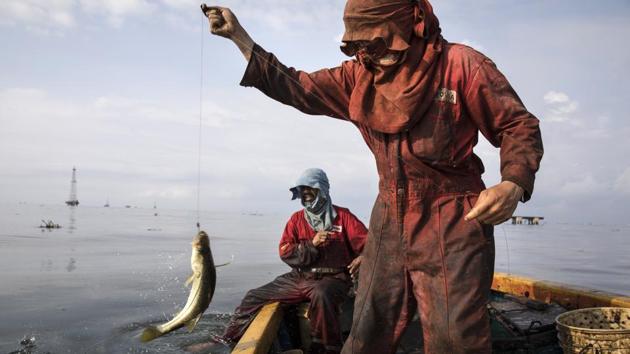 Fishermen from Venezuela’s state-run oil firm PDVSA, catch bass known as “robalo” near La Salina crude oil shipping terminal, on Lake Maracaibo near Cabimas. Nobody lives as closely with the environmental fallout of Venezuela’s collapsing oil industry as the fishermen who scratch out an existence on the blackened, sticky shores of Lake Maracaibo. Villagers say they first noticed oil lapping ashore when the petroleum industry’s downturn began under the late President Hugo Chavez. (Rodrigo Abd / AP)