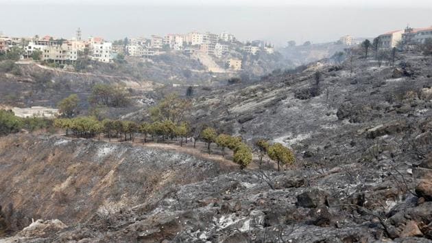 Burnt trees are seen after wildfires swept through Damour. In neighboring Syria, fires spread in the coastal provinces of Latakia and Tartus, as well as the central province of Homs, but authorities there brought all the fires under control. (Mohamed Azakir / REUTERS)