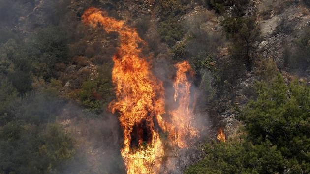 Fire takes out forests in the mountainous area that flank Damour river near the village of Meshref in Lebanon’s Shouf mountains. Wildfires spread through parts of Lebanon on Tuesday after forcing some residents to flee their homes in the middle of the night, while others were stuck inside as the flames reached villages south of Beirut. (Joseph Eid / AFP)