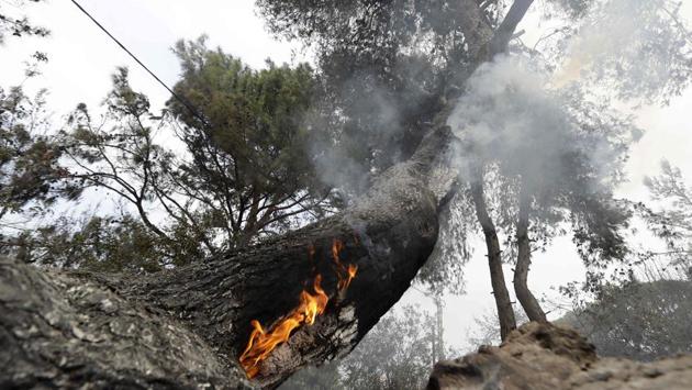 Calcined trees stand in an ash-covered after the fire broke out. Lebanon’s Environment Minister Fadi Jreissati said at least one person had been killed. He called the situation “catastrophic.” The Red Cross said that 18 people have so far been hospitalised and 88 have received emergency medical care. (Joseph Eid / AFP)