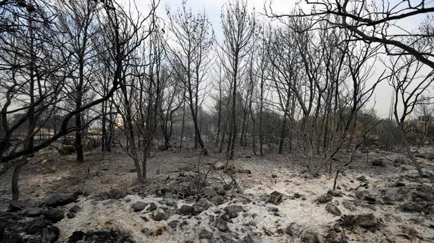 Prime Minister Saad al-Hariri said an investigation would be opened and if arson were uncovered the perpetrators would “pay a price,” though he said the fires might be the result of climate change, which often brings weather drier and hotter than normal. (Joseph Eid / AFP)