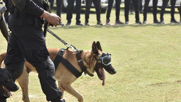 Shah said that the NSG has been provided with the latest gadgets and equipment to enhance its mobility, surveillance, firepower and counter-drone capabilities. He added that a commando’s courage, passion, and patriotism are the most important quality that ensures victory in operations and tasks. Shah asked the NSG to continuously work towards its vision of a world-class zero error force. (Sanjeev Verma/HT Photo)