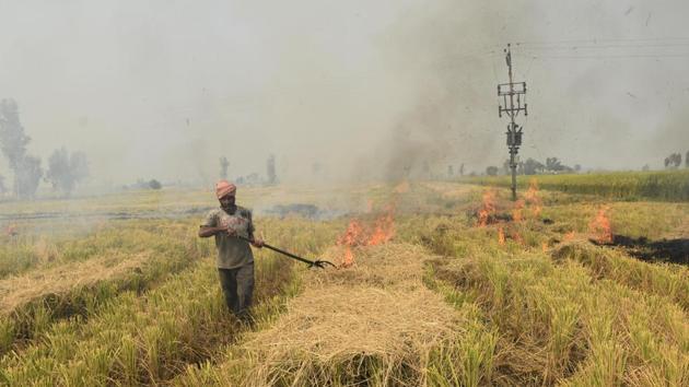 A farmer sets stubble on fire in Punjab on October 13. Farmers in Punjab and Haryana traditionally set fire to the residual stalks to clear fields for the next sowing season after harvesting the last crop around this time of the year. Pollutants from stubble burning zones travel to Delhi only when the wind direction is westerly or north-westerly. IMD said the wind direction is likely to remain easterly for the next few days. (Sameer Sehgal / HT Photo)