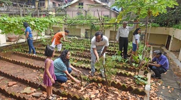 All Schools Should Set Up Kitchen Gardens Centre Hindustan Times