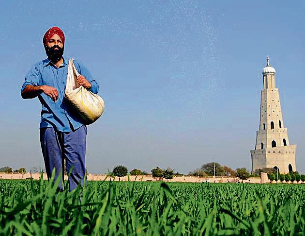 The Centre says subsidised urea is diverted for industrial use and thus the pilferage needs to be checked.(HT PHOTO)