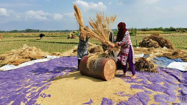 Ten states that have announced a series of farm loan waivers since 2014-15, equivalent to 1.4% of the country’s gross domestic product (GDP), are yet to complete their promised write-offs.(Waseem Andrabi / HT File)