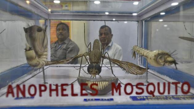 A replica of the Anopheles Mosquito in various stages is displayed during a Health Fair, themed Fit Delhi Fit India, at Jawaharlal Nehru Stadium, in New Delhi. The Anopheles Mosquito is known universally as the Malaria Mosquito species because it is considered the primary vector of the disease. (Burhaan Kinu / HT Photo)