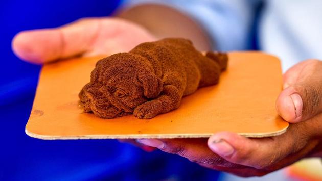 A chef displays a dog-shaped chocolate dessert at a pastry stall at ‘Bengaluru Aaharotsava’, a 3-day vegetarian food festival, in Bengaluru , Karnataka. With over 100 stalls and over 1000 dishes, the city’s biggest food festival gives foodies an opportunity to sample Indian, regional, street, continental and local food varieties all in one venue. (Manjunath Kiran / AFP)