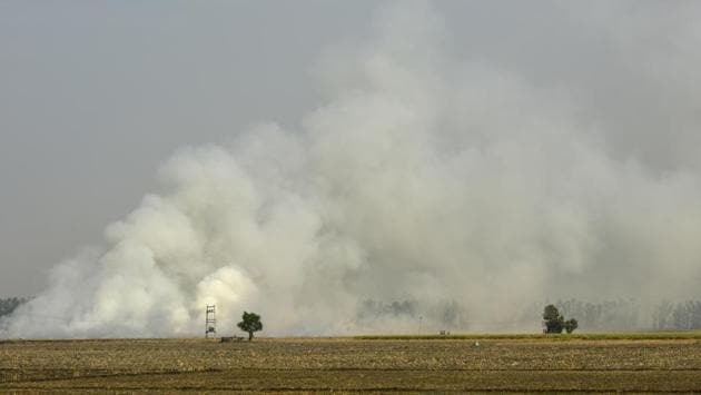 Fumes of smoke are seen as farmers burn straw stubble after harvesting the paddy crops in a field on the outskirts of Haryana. (Biplov Bhuyan / HT Photo)