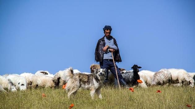 British TV show ‘Meat the Family’ is challenging people to turn vegan(Representational image).(Unsplash)