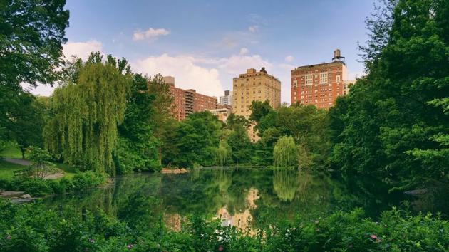 Central Park, one of New York City’s iconic landmarks, has 23 statues of men who left their mark in history but not a single one honouring the accomplishments of a woman. (Unsplash) Central Park, one of New York City’s iconic landmarks, has 23 statues of men who left their mark in history but not a single one honouring the accomplishments of a woman. (Unsplash)