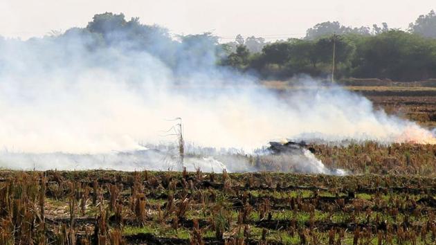 56 sites of stubble burning have been detected in the district so far(HT PHOTO)