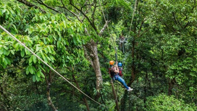 Queensland Ambulance Service has confirmed the woman had injuries to her shoulder and arms, including pelvic injuries.(Facebook image/ Jungle Surfing Canopy Tours) Queensland Ambulance Service has confirmed the woman had injuries to her shoulder and arms, including pelvic injuries.(Facebook image/ Jungle Surfing Canopy Tours)