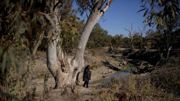 Elanor (Golly) Fay Sloane walks along the dry banks of the Menindee Creek which runs into the Darling River in Menindee. Sloane says she feels depressed when she thinks about the state of the river, “I can no longer go to river when family pass away, which is my healing process,” Sloane said. (Tracey Nearmy / REUTERS) Elanor (Golly) Fay Sloane walks along the dry banks of the Menindee Creek which runs into the Darling River in Menindee. Sloane says she feels depressed when she thinks about the state of the river, “I can no longer go to river when family pass away, which is my healing process,” Sloane said. (Tracey Nearmy / REUTERS)