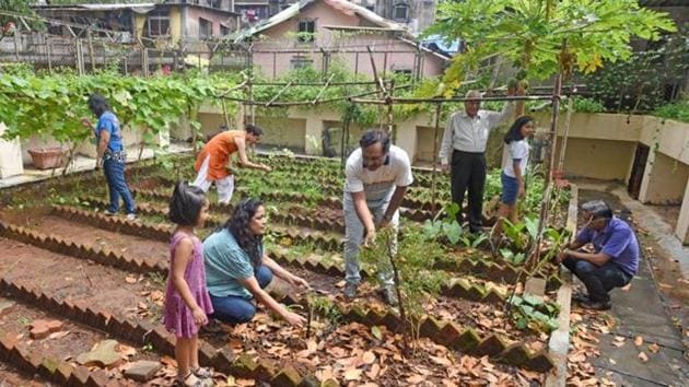 Residents of Kohinoor Apartments working at their quarter of an acre organic kitchen garden at Kurla (West) in Mumbai.(Pratik Chorge/HT PHOTO)