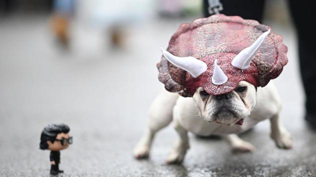A dog dressed in a dinosaur costume attends the Tompkins Square Halloween Dog Parade in Manhattan in New York City. (Johannes Eisele / AFP)
