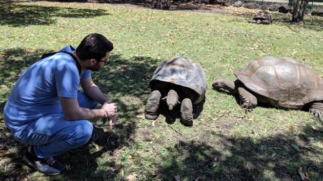 At Casela Land of Adventures, you get to interact with giant tortoises, some of whom are over 200 years old!