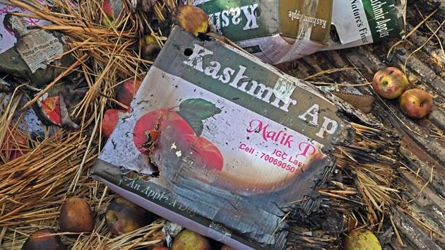 Burnt apple boxes lying on the floor of the truck which was set ablaze by militants in Chitragam village of Shopian district on Thursday(ANI Photo) Burnt apple boxes lying on the floor of the truck which was set ablaze by militants in Chitragam village of Shopian district on Thursday(ANI Photo)