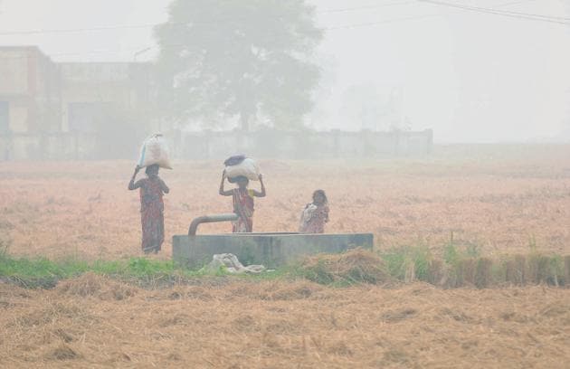 Farmers seem adamant on burning paddy residue. This has resulted in smog and an increase in number of patients reporting to hospitals with respiratory problems in Patiala and Sangrur districts.(BHARAT BHUSHAN/HT)