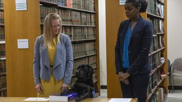 Hatty, the dog, was sworn in by Cook County State's Attorney Kimberly Foxx. (AP) Hatty, the dog, was sworn in by Cook County State's Attorney Kimberly Foxx. (AP)