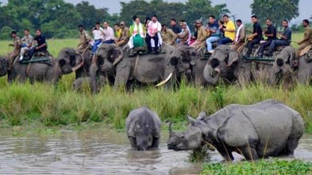 Forest department officers indicated that poachers from Assam, with the help of locals, shot dead the one-horned rhino at 54 beat area inside the western range of the Jaldapara national park.(PTI File / For representational purpose only)