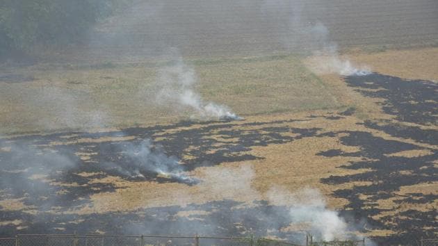 The instances of stubble burning have been continuing in Ghaziabad despite all efforts by district administration in India. (Photo by Sakib Ali /Hindustan Times) The instances of stubble burning have been continuing in Ghaziabad despite all efforts by district administration in India. (Photo by Sakib Ali /Hindustan Times)