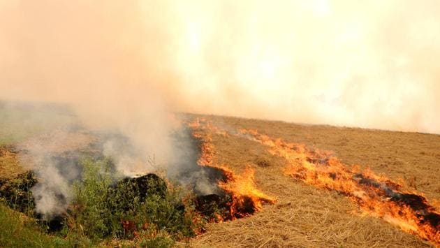 Stubble burning seen in a village at Pehowa district, Haryana, on Thursday, October 31, 2019.(Bharat Bhushan / HT Photo)