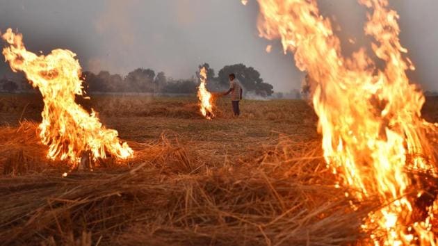 A farmer burns paddy stubble at Chismani village in Ganaur city, on the outskirts of Sonipat. (Raj K Raj/ HT Photo)