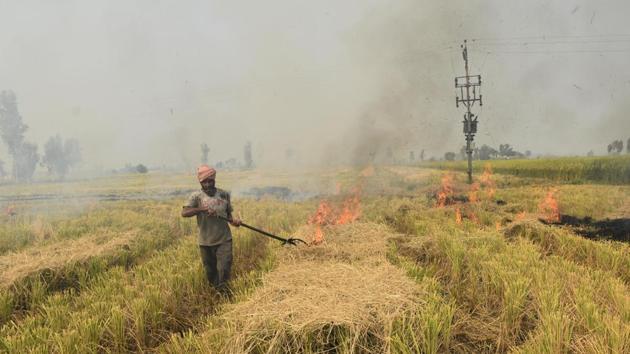 Some villages in Punjab that haven’t reported a single case of post-harvest stubble burning.(HT Photo)