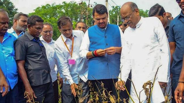 Maharashtra Chief Minister Devendra Fadnavis inspects crop damages due to unseasonal rains, in Akola (PTI Photo) Maharashtra Chief Minister Devendra Fadnavis inspects crop damages due to unseasonal rains, in Akola (PTI Photo)